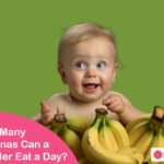 how many bananas can a toddler eat a day?